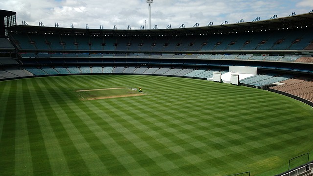 界波将比分 界波将比分