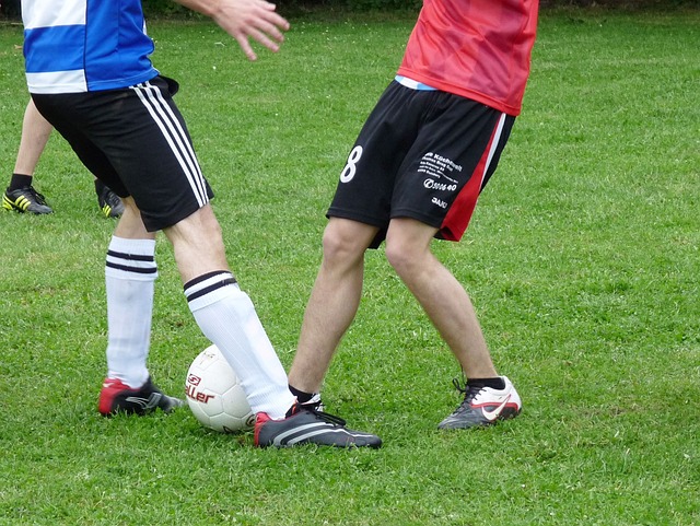 组合逐渐成 组合逐渐成