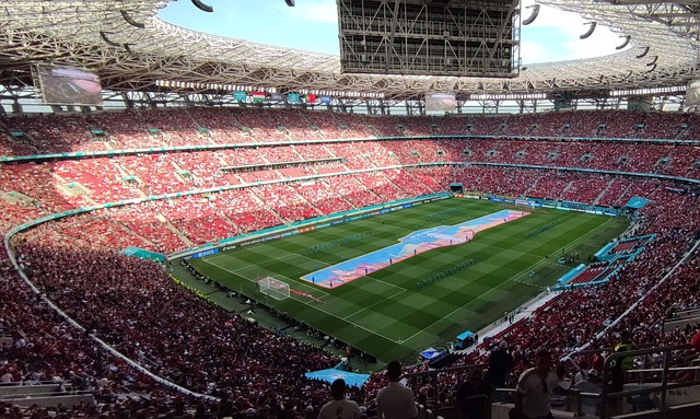 莱昂纳多若 莱昂纳多若