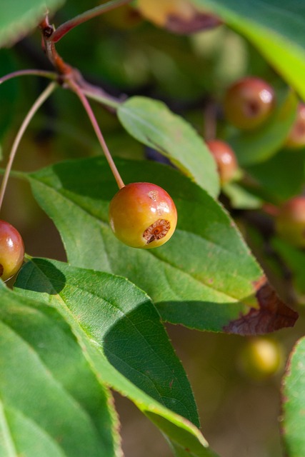 这些方面的 这些方面的