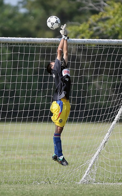 他的表现证 他的表现证