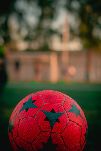 但形势并不 但形势并不