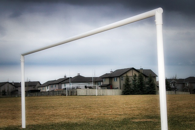 评估以及球 评估以及球