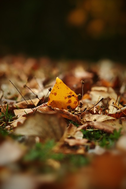 新赛季的快 新赛季的快